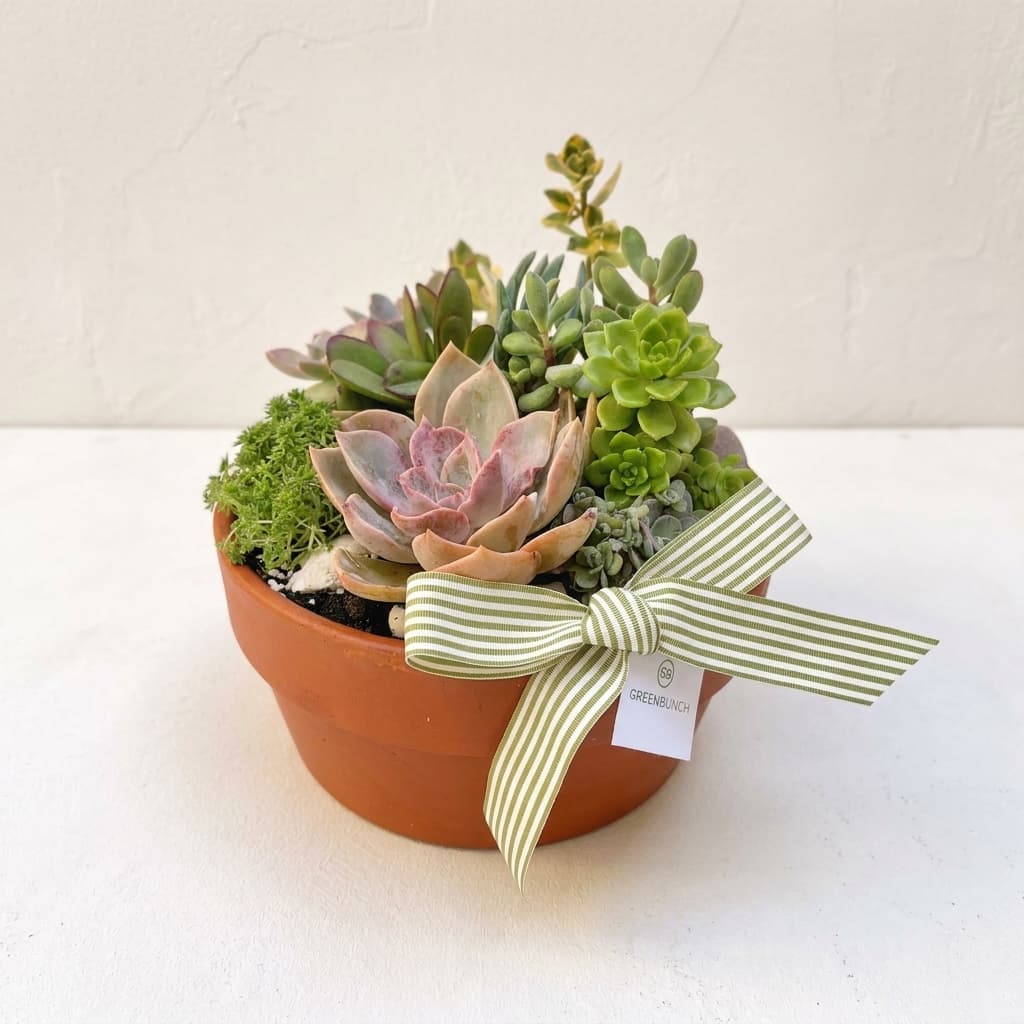 Large Succulent Bowl