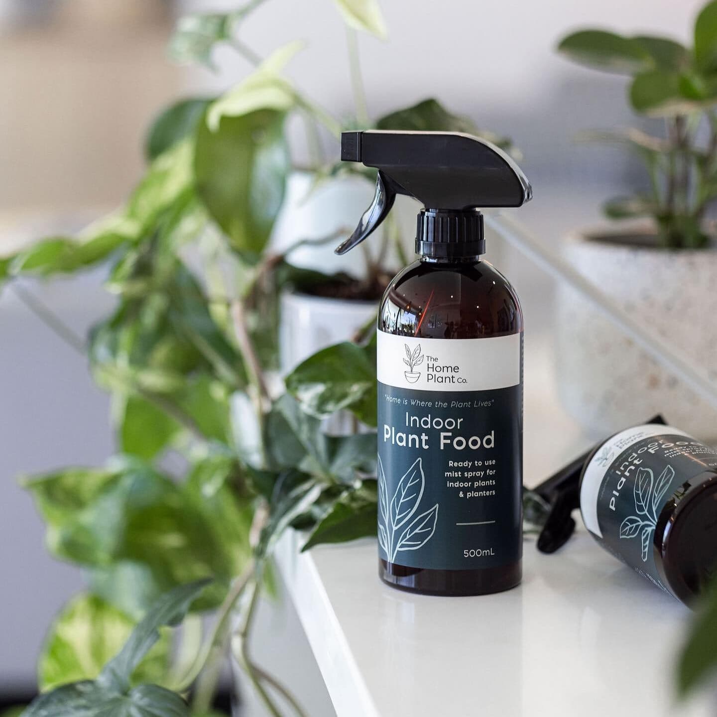 Indoor Plant Food Foliar Spray | The Home Plant Co — alternate view