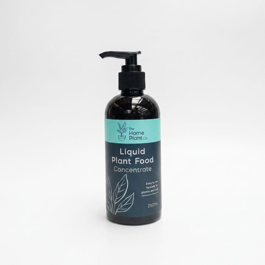 Liquid Plant Food Concentrate 250ml | The Home Plant Co