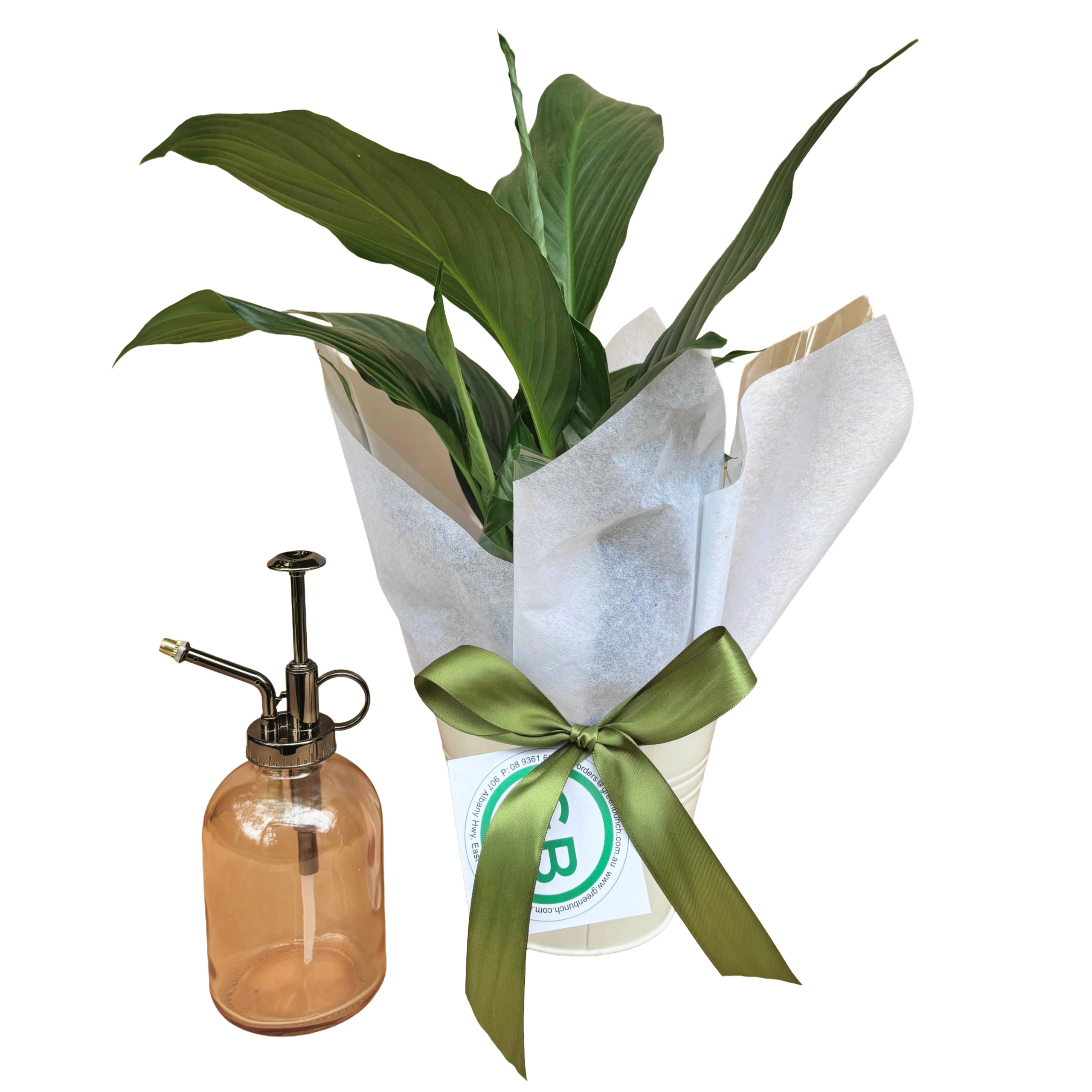 Peace Lily & Glass Plant Mister